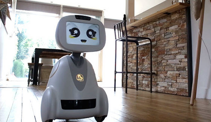 ソーシャルロボット「百花繚乱」時代に
