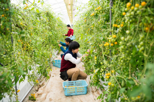 農業を救うべきなのではなく、農業が日本を救う。「だから、ぼくは農家をスターにする」 という未来予測