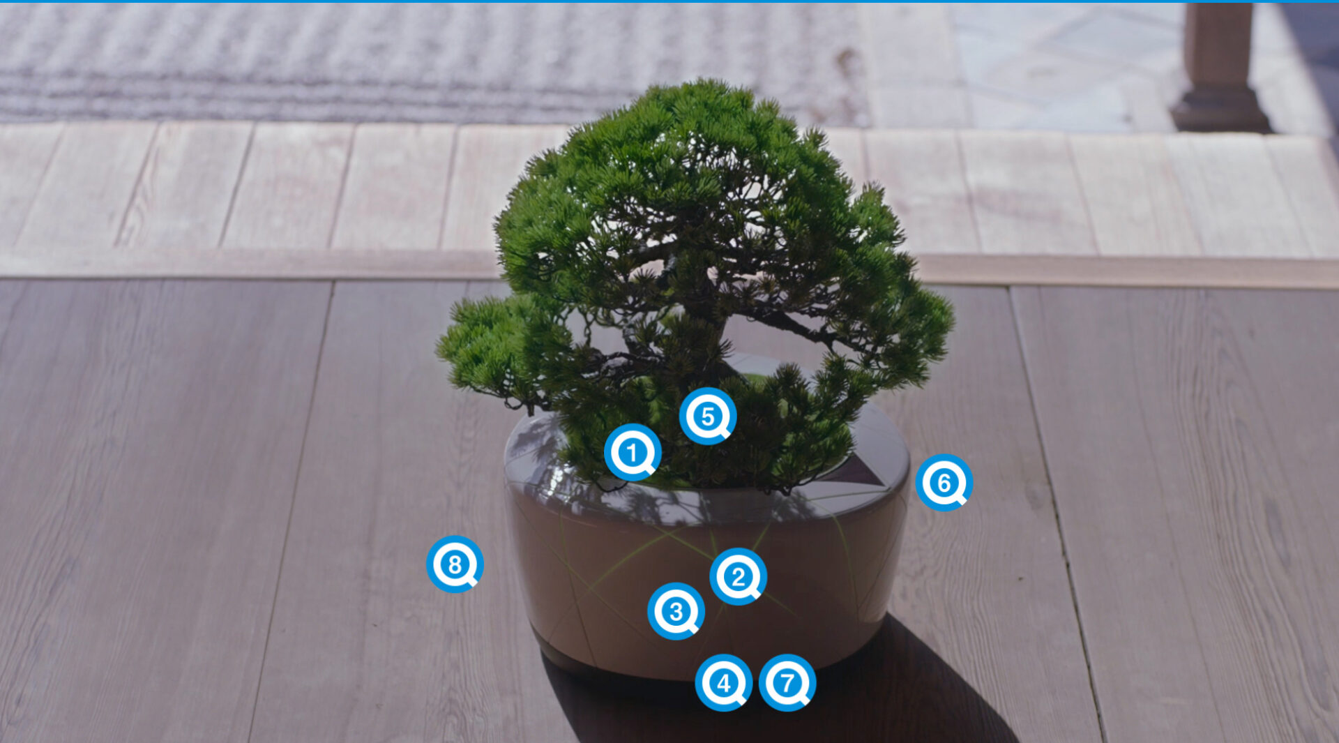 僧侶と対話する盆栽AI