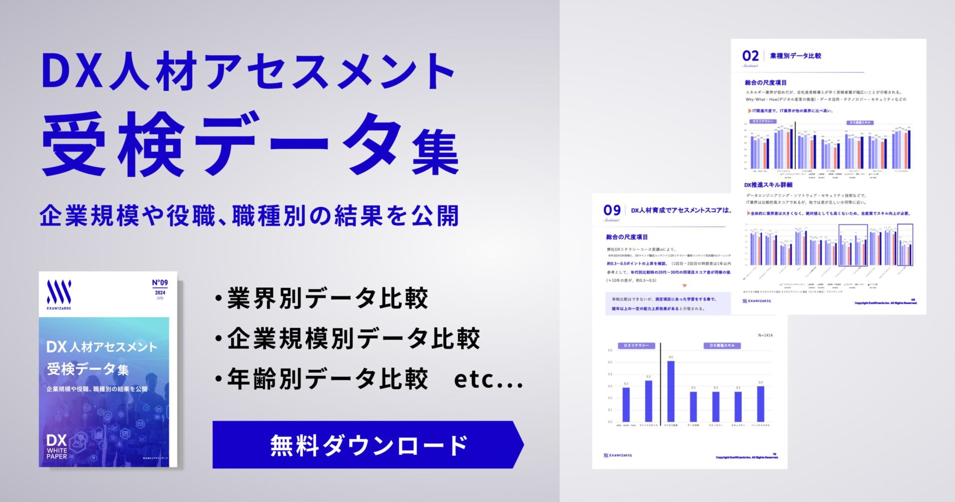 DX人材アセスメント受検データ集 - お役立ち資料ダウンロード- DX