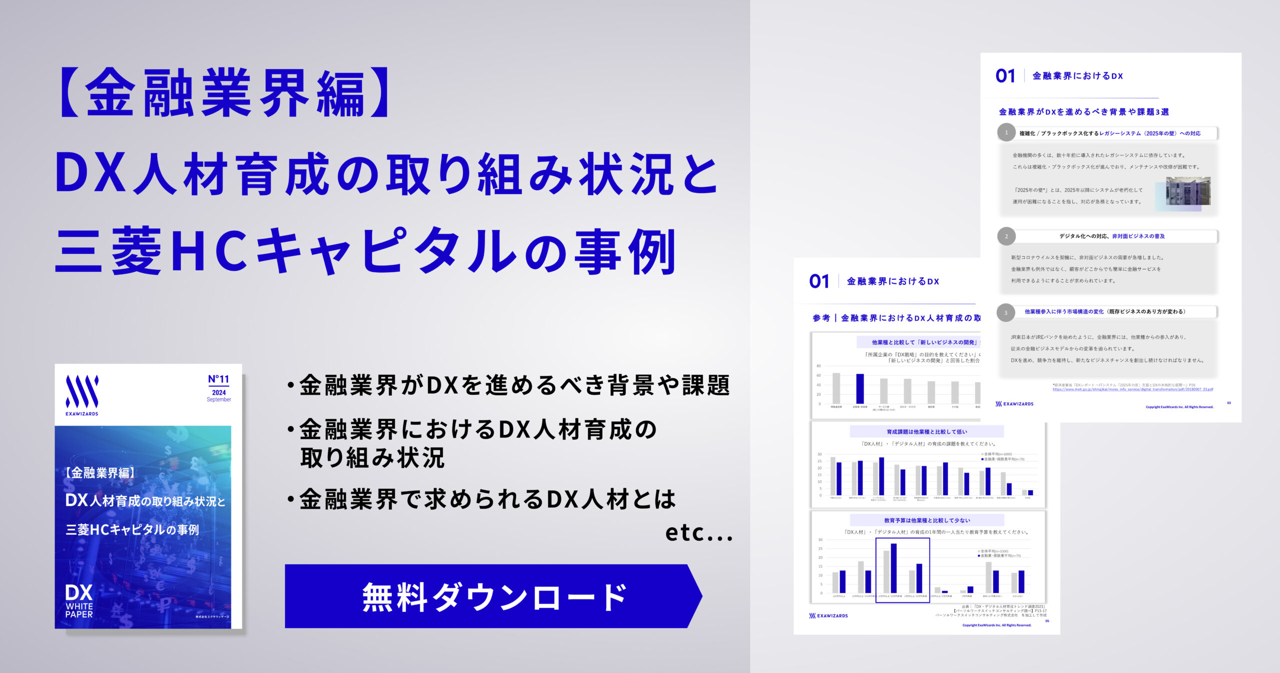 【資料ダウンロード】 【金融業界編】DX人材育成の取り組み状況と三菱HCキャピタルの事例